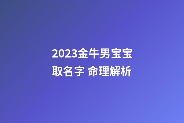 2023金牛男宝宝取名字 命理解析